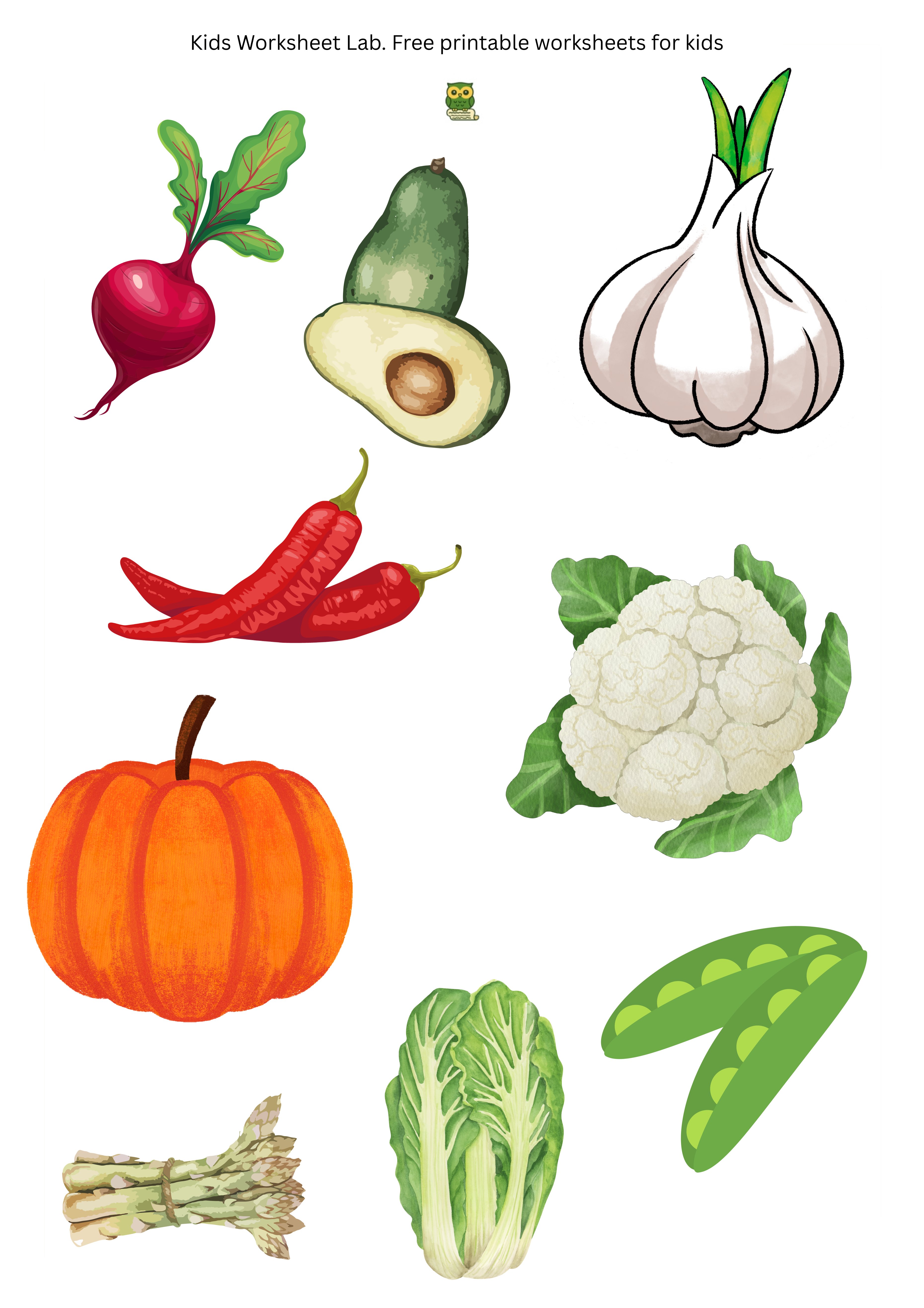 Root Vegetables Sticker Sheet